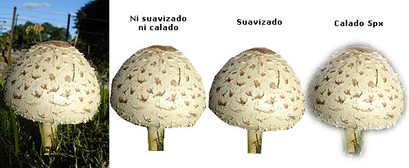 resultados con selecciones con distinto suavizado y calado