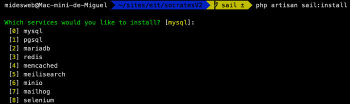 Seleccionar los servicios de Sail que quieres instalar