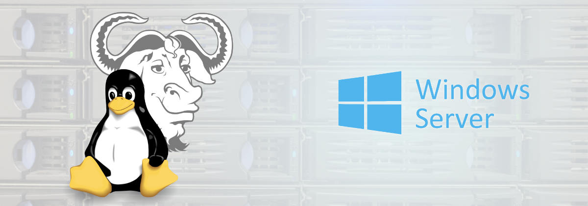 ¿Windows o Linux para tu servidor?
